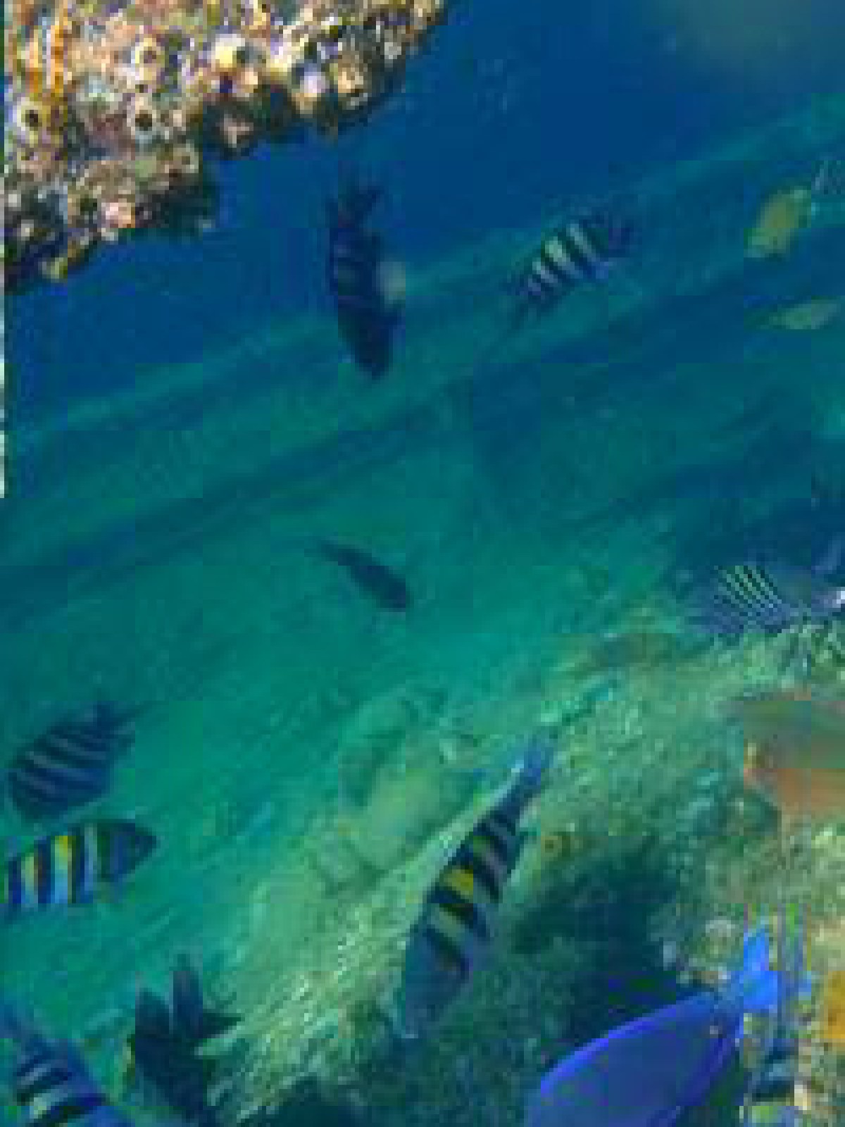 underwater view of a swimming pool