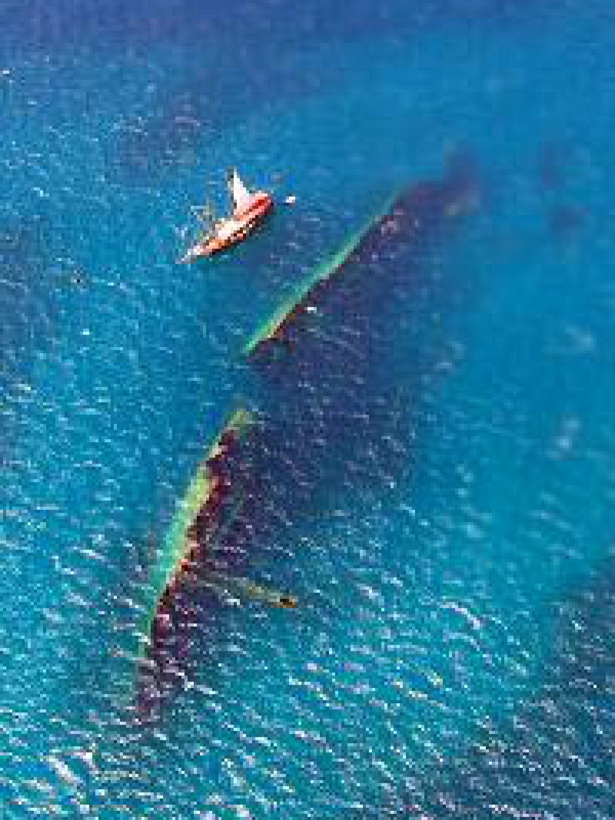 a group of blue water