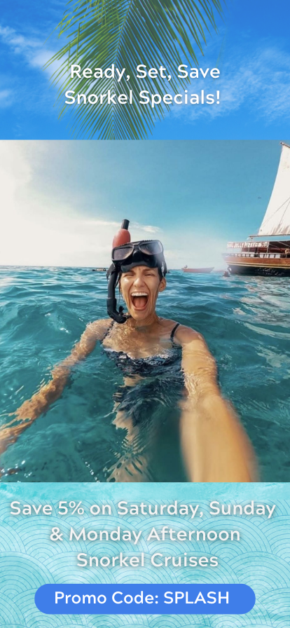 Person snorkeling in the ocean with a sailboat in the background, promoting snorkel cruise discounts.