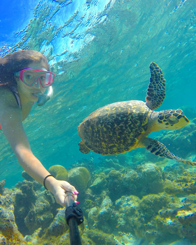 Snorkeling with sea turtles in Aruba