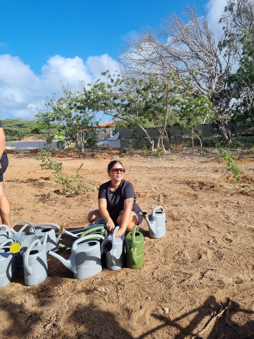 Volunteer watering a newly planted native tree at the Bucuti Tara–GMC Nature Preserve in Noord, Aruba.