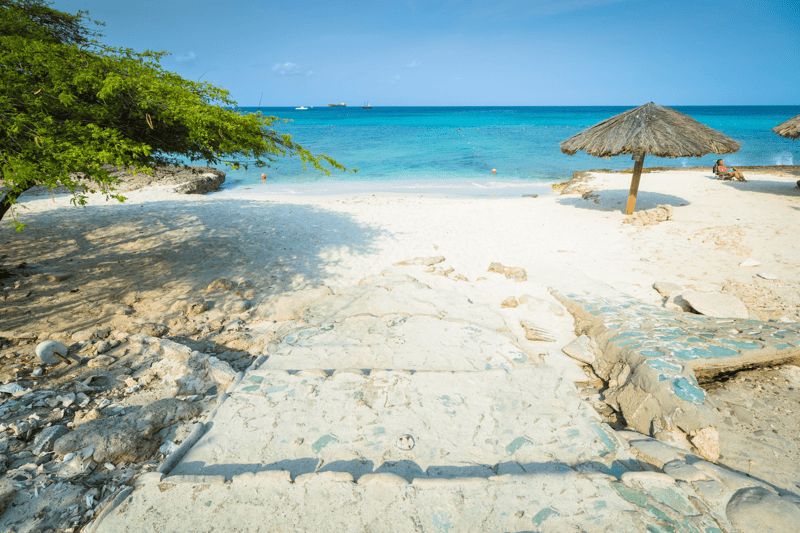 Pathway leading to a sandy beach with blue sea, tree, and a thatched umbrella.